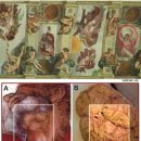 시스티나 성당 벽화에 두뇌그림 숨겨...미켈란젤로 코드 '화제' 이미지