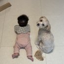 시공 매트 4년차 실사용 후기! 아기매트 추천: 라라매트(서울점)