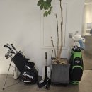 궁전 골프 연습장 이미지