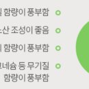 엉클플러스 이미지