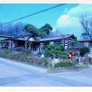 메주꽃이랑 이미지