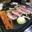 시끌시끌 돼지들 이미지