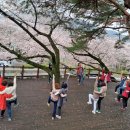 장복산길 이미지