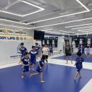 스웻바디라이프mma주짓수킥복싱 | 운정복싱 아이가 다니고 있는 스웻바디라이프mma주짓수킥복싱