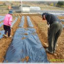 동수농장 이미지