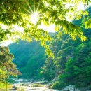 산수화펜션 - 함양군 칠선로 142 | 산수화펜션