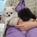 온누리 동물의료센터 이미지