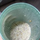 11650-16-166-13 | 단백질 쉐이크 유목민 주목! 플라이밀 13종 전 맛 내돈내산 뽀개기 | 상세 리뷰 | 맛 추천 | 영양 성분