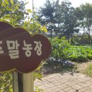 대구농장 이미지