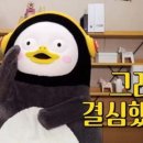 흥 이미지