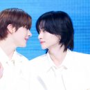 홀리몰리 이미지