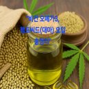 씨유광천이편한점 | 대마 씨유 효능부터 부작용까지 총정리 – 식물성 오메가3 햄프씨드 오일 추천
