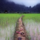 팝스 잉글리쉬 A 이미지