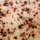 건강한 식탁 이미지