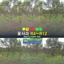경산에조경농원 이미지