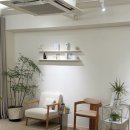 신수동 주민센터 | 신수동두피스파 소브에스테틱스파 헤드스파 후기