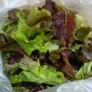 국수이야기 이미지