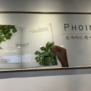 포아이니 이미지