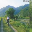 금마웰빙