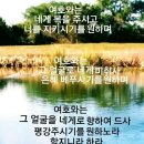 효령로 59-7 이미지