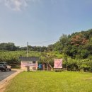 시고개농원 | [당일치기 휴가]조치원 피치스 고개농원 복숭아 구매 후기 / 제천 명암계곡 중앙여울펜션 평상 대여...