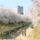 삼호천 이미지