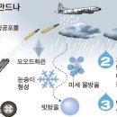 강우농장 이미지