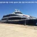 매일관광여행사 이미지