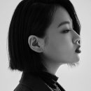 비비 이미지