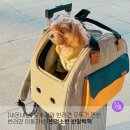 언제 어디서나 사용하기 편한 가방, 반려소반 반달백팩 1년 사용후기