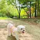 탄방경로당 이미지