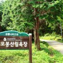 고성읍사무소 | 갈모봉 산행후기_경남 고성군 고성읍_2021.07.11