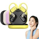 383 | 블라우풍트 ENC 노이즈캔슬링 오픈형 블루투스 이어폰 오픈픽 BLP-OE383 후기