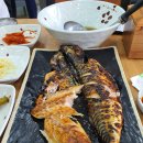북극해고등어 - 용인시 처인구 | 북극해고등어