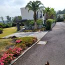 안당농장 이미지