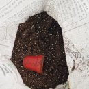 대한꽃농원 이미지