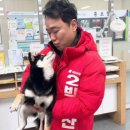 내아이멍멍