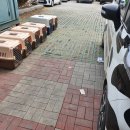 개 친절 펫택시 이미지