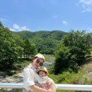 효준목장 이미지