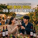 영동 와인축제 영동 가볼만한곳｜와인 몰라도 하루 종일 취하는 로맨틱 충북 여행 코스