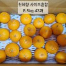 뙤미감성농장