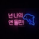 게제 | 거제씨월드 벨루가와 돌고래&파충류 친구들 만나고왔어요!