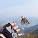 재롱이네 이미지