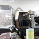 킹콩백화점 이미지