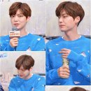 레포트천국