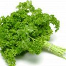 파슬리 이미지