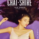 2015 아이유 전국투어 콘서트〈CHAT-SHIRE〉- 대구 티켓오픈 안내 이미지