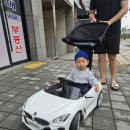 주이레전자 | 51주 l 11개월 아기 일상 문센 무주 여행 에코시티 키즈다쿵