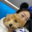 프린트이즘 이미지
