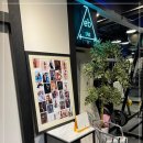 에이트바디 이미지